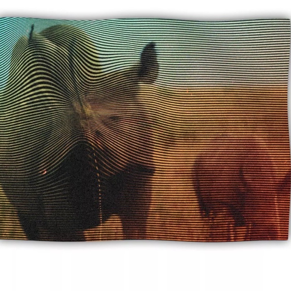 Kess InHouse Abstract Rhino & Baby Rhino Blanket / Throw